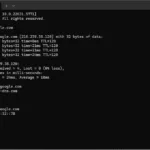 teknomaya nslookup